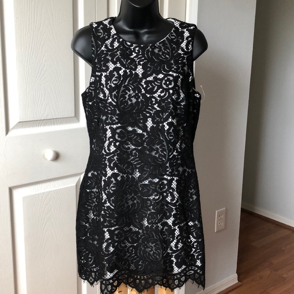Lauren Ralph Lauren Dresses & Skirts - Lauren Ralph Lauren Black White Lace Sleeveless Dress Sz 8